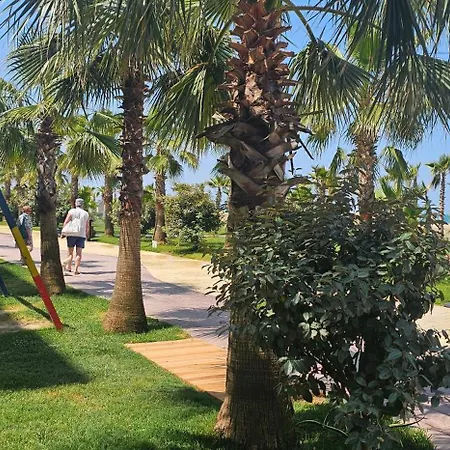 Bright Steps From The Shore *